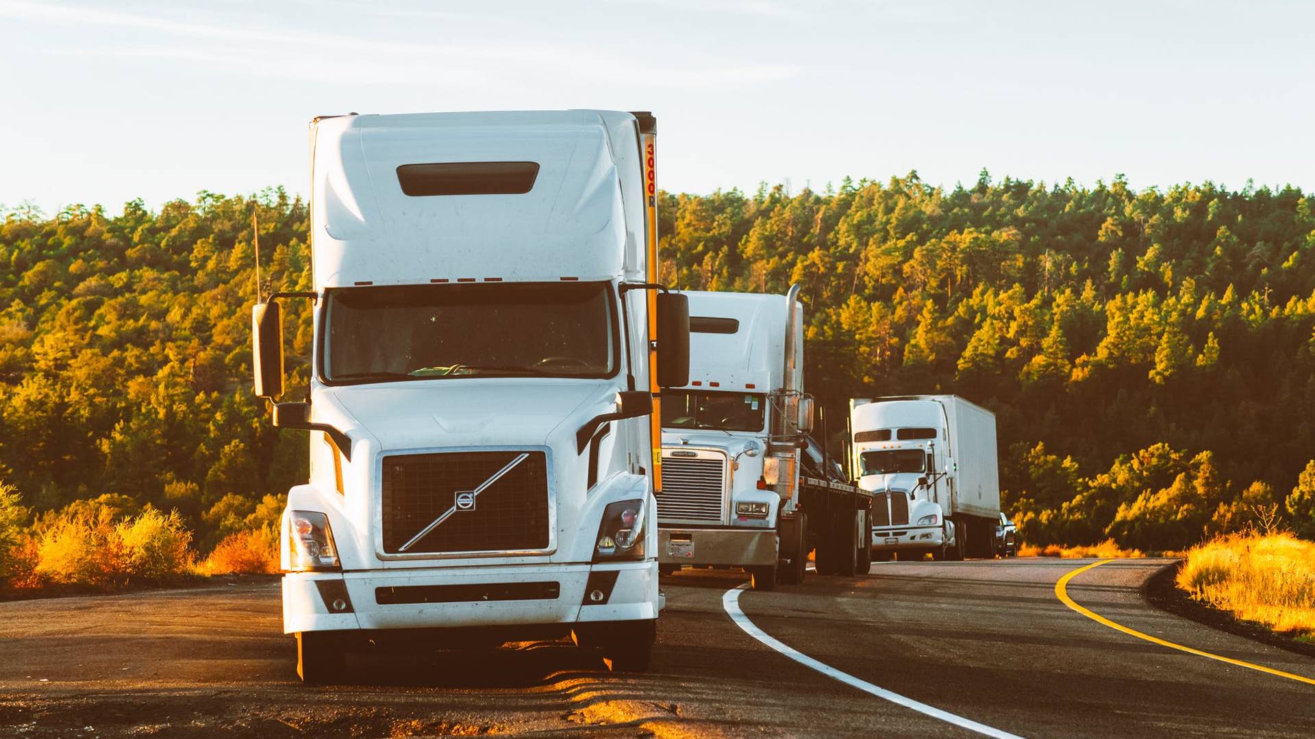 Global Tracking Co. Ltd - Fleet and Transport Solutions